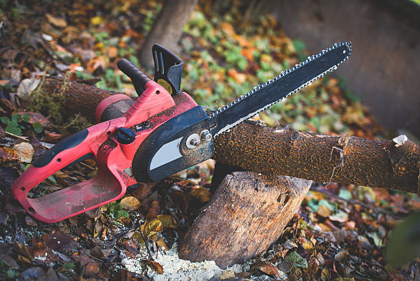 Leaf Removal in Mays Chapel, MD